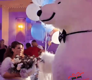 The White Polar Bear came to the wedding to deliver the gift to the bride and groom. Gift Delivery. Wedding gift. Polar bear surprise. White Polar Bear at the wedding.